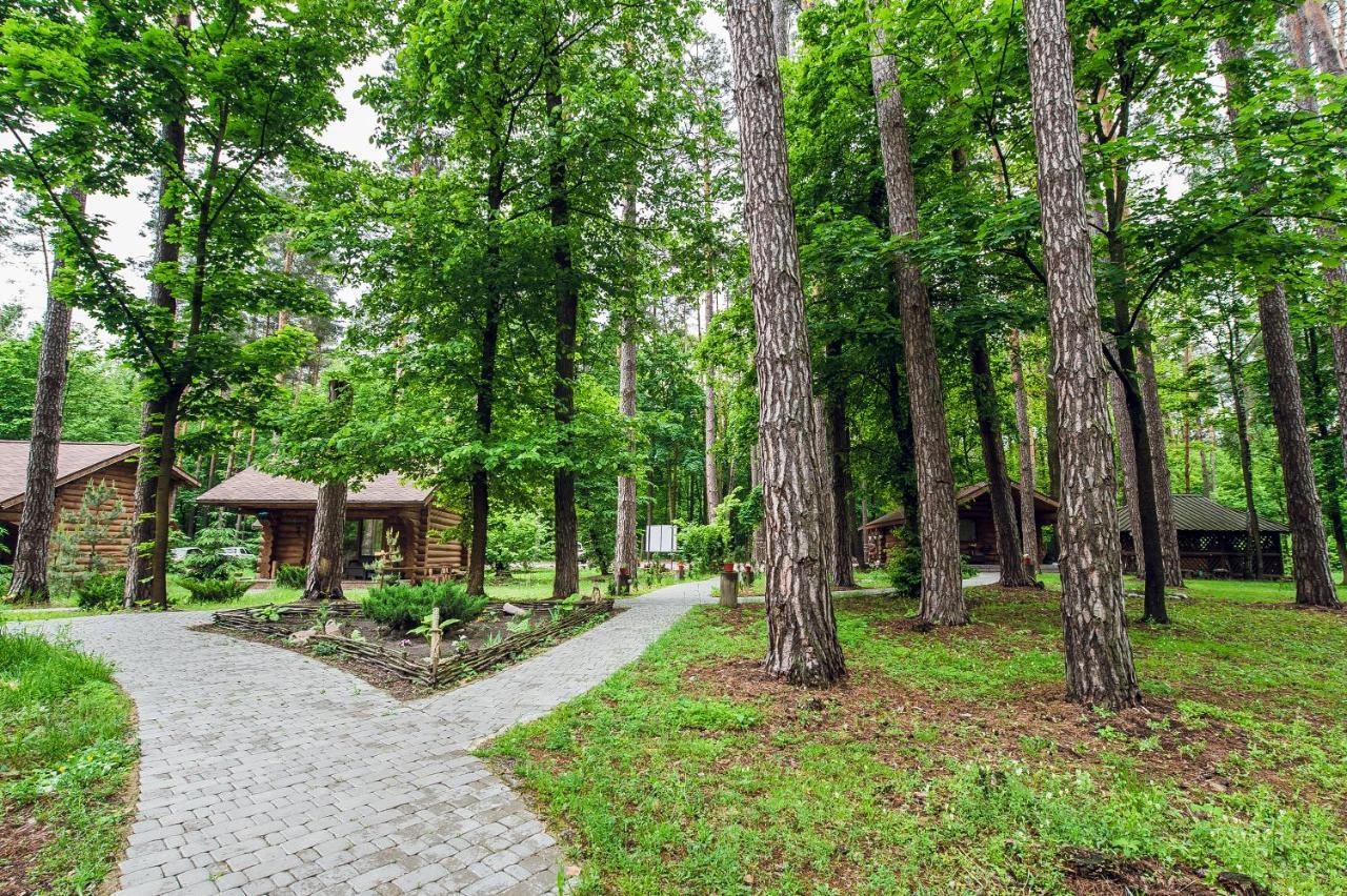 Forest Hut Stariy Prud Pylypovychi Exterior photo